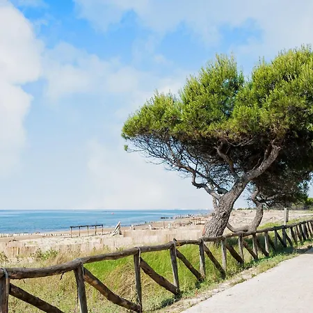 Comfortable House Close To The In