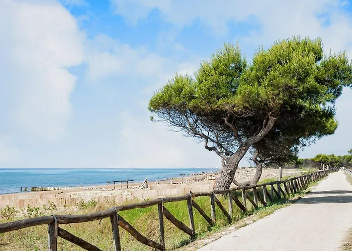 Comfortable House Close To The In